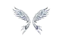 Wings of Soul (Lvl 2)